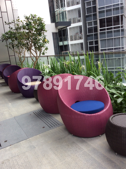 The Boutiq (D9), Apartment #38591292
